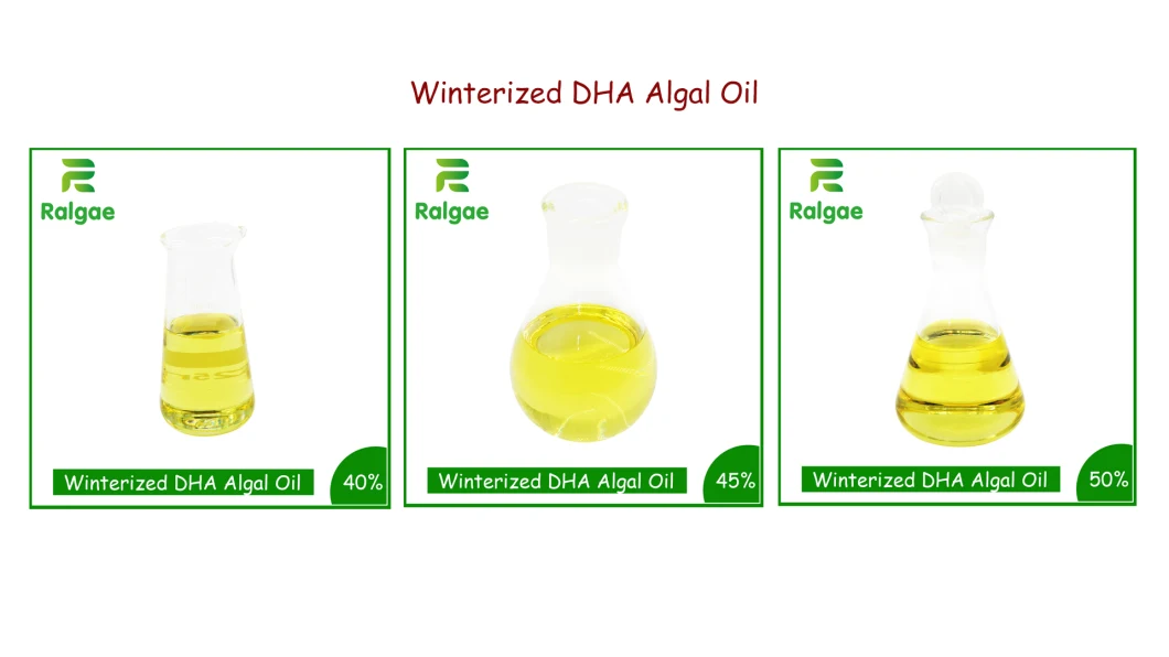 Natural Vegan Omega 3 Oil DHA Algal Oil 40% DHA Food Grade Winterized Grade CAS6217-54-5