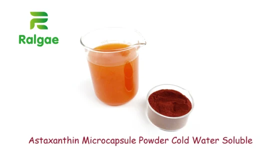 Astaxanthin Microcapsule Powder 2% Cold Water Soluble Antioxidant Nutrition Ingredient