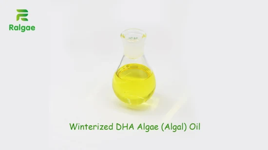 Good Quality DHA Algae Oil Vegan Algal Oil 50% DHA for Human Nutrition CAS6217-54-5