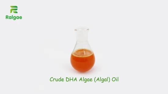 Docosahexaenoic Acid Vegan Omega 3 Oil DHA Algae Oil Crude DHA Algal Oil Alga Oil DHA for Animal Nutrition Horse Equine Nutrition Supplement Refine Oil Plant